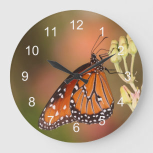Reloj Redondo Grande Mariposa reina en una rama