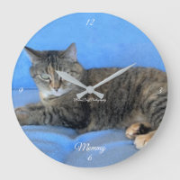 mascota gato felino amor cálido bebé reloj grande