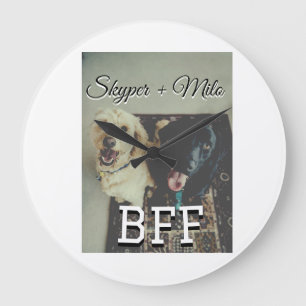 Reloj Redondo Grande Mascotas amigos bestias agregar nombre mascota fot