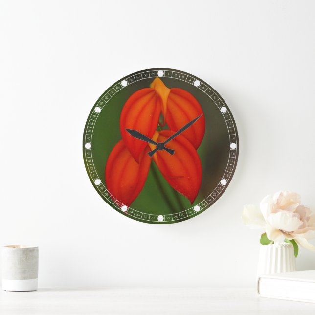 Reloj Redondo Grande Masdevallia ignea Orquídea (Hogar)