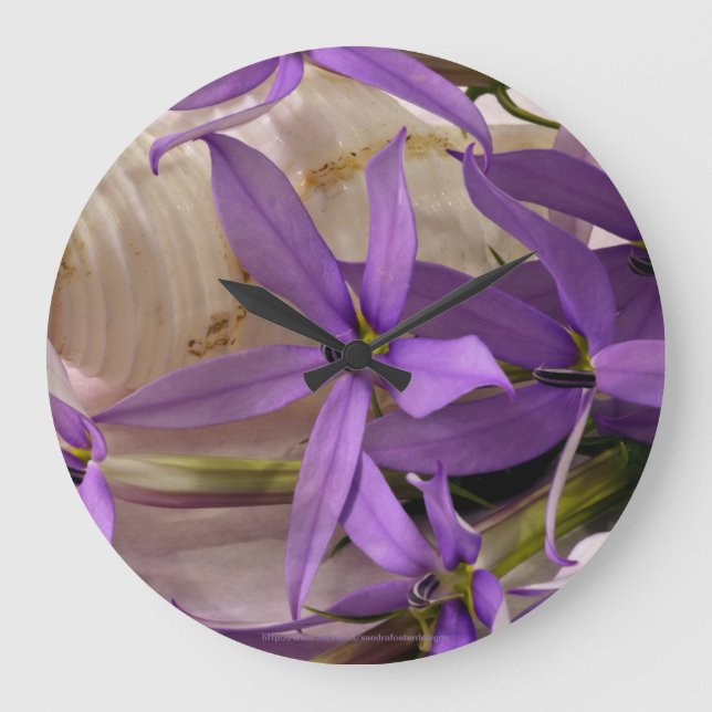 Reloj Redondo Grande Mauve Starshine Laurentia (Anverso)