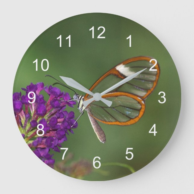 Reloj Redondo Grande Me llaman de ala clara (Anverso)