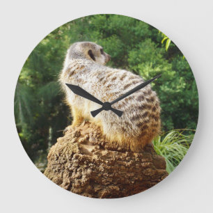 Reloj Redondo Grande Meerkat Vigilando La Verdemia,
