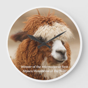 Reloj Redondo Grande Mejor ceja única de alpaca