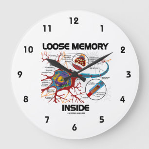 Reloj Redondo Grande Memoria suelta dentro de la neurona Sinapsis Humor