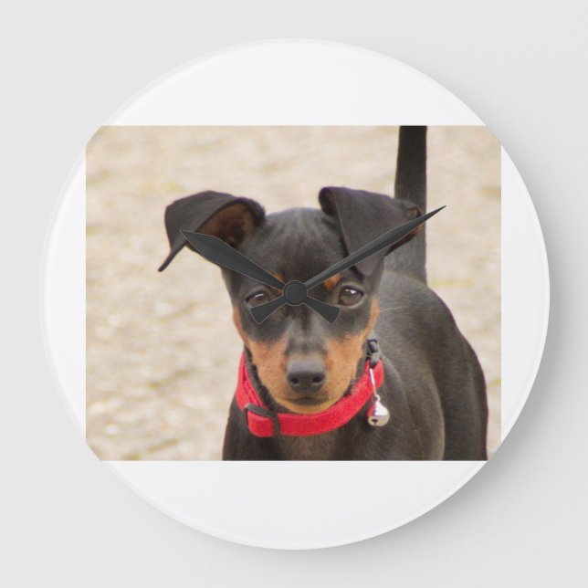 Reloj Redondo Grande mini-pinscher-negro y óxido (Anverso)