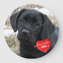 Monumento a la fotografía mascota - Añadir la foto