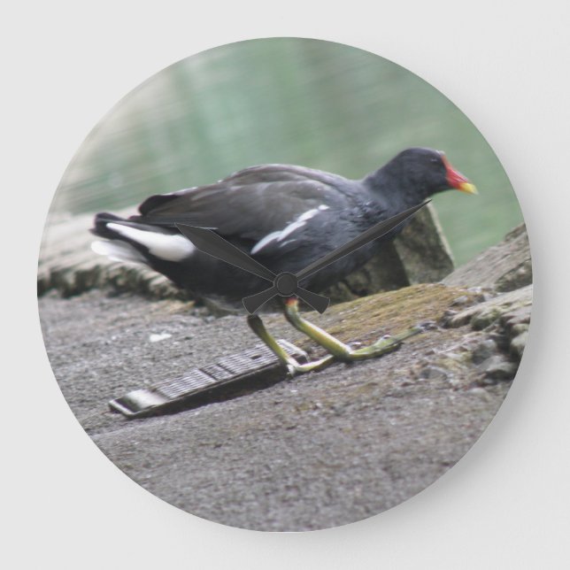 Reloj Redondo Grande Moorhen Wall Clock (Anverso)