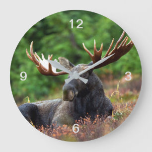 Reloj Redondo Grande Moose