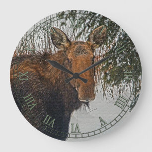 Reloj Redondo Grande Moose canadiense salvaje en nieve IV