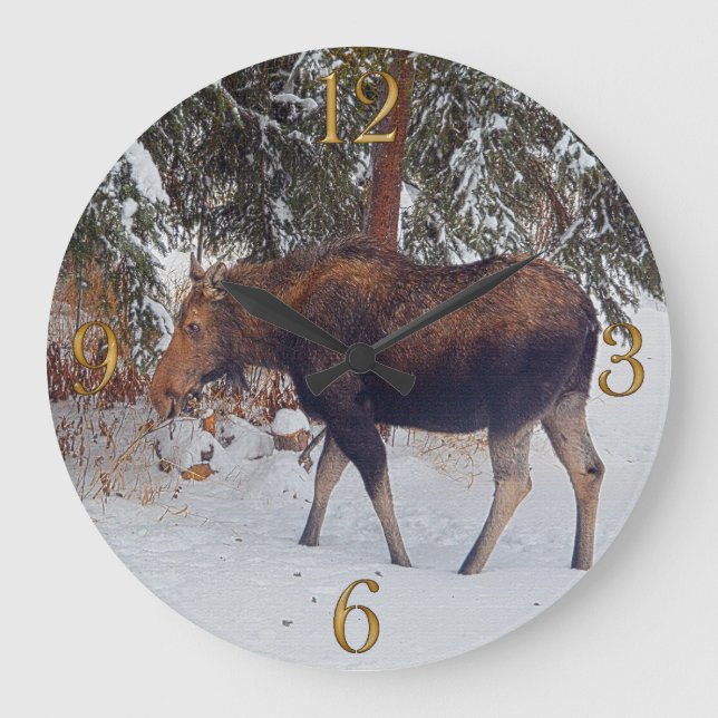 Reloj Redondo Grande Moose canadiense salvaje en nieve V de invierno (Anverso)