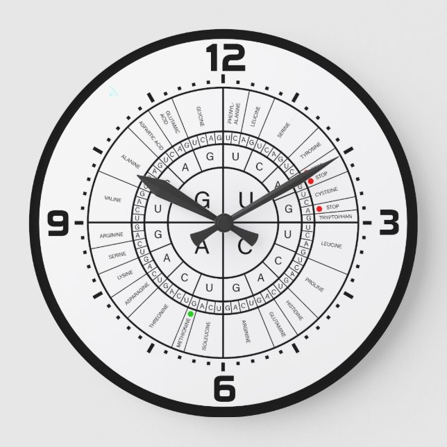 Reloj Redondo Grande mRNA to AMINO ACID CODON WHEEL (Anverso)