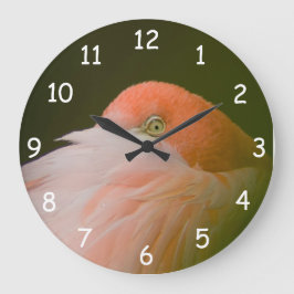 Reloj Redondo Grande Naranja Flamingo Eye