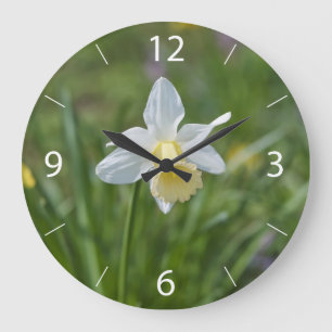 Reloj Redondo Grande Narciso
