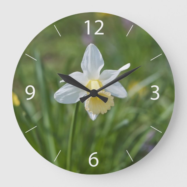 Reloj Redondo Grande Narciso (Anverso)