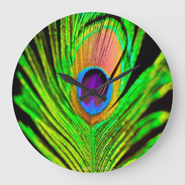 Reloj Redondo Grande Neon Colors Peacock Feather (Anverso)