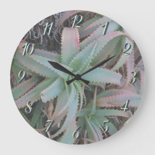 Reloj Redondo Grande Nevada succulantes