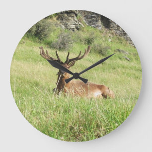 Reloj Redondo Grande New Zealand Stags