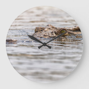 Reloj Redondo Grande Nile Crocodile