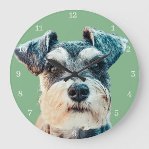 Reloj Redondo Grande Norfolk Terriers