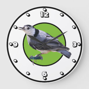 Reloj Redondo Grande Nuthatch blanco