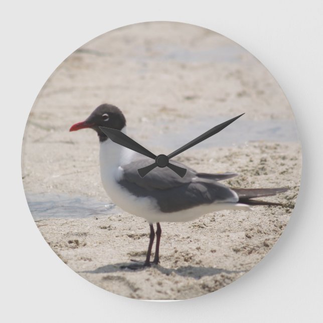 Reloj Redondo Grande Ocean Sand Seagull Bird Beach Photo (Anverso)