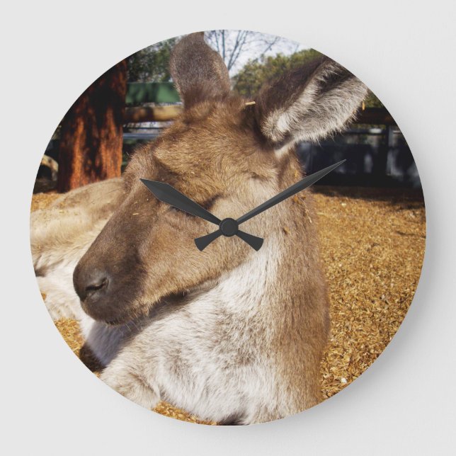 Reloj Redondo Grande Oh So Sleepy Kangaroo, (Anverso)