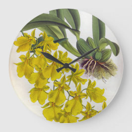 Reloj Redondo Grande Oncidium Concolor Vintage Lindenia Orquídea