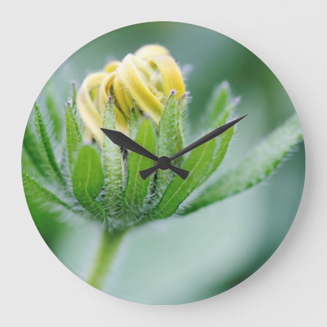 Reloj Redondo Grande Opening Flower Of Cone Flower (Anverso)