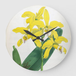 Reloj Redondo Grande Orquídea de Lindenia Amarilla