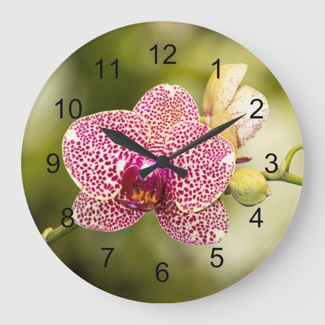 Reloj Redondo Grande Orquídea manchada rosa  (Anverso)