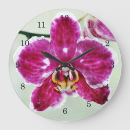 Reloj Redondo Grande Orquídea rosa