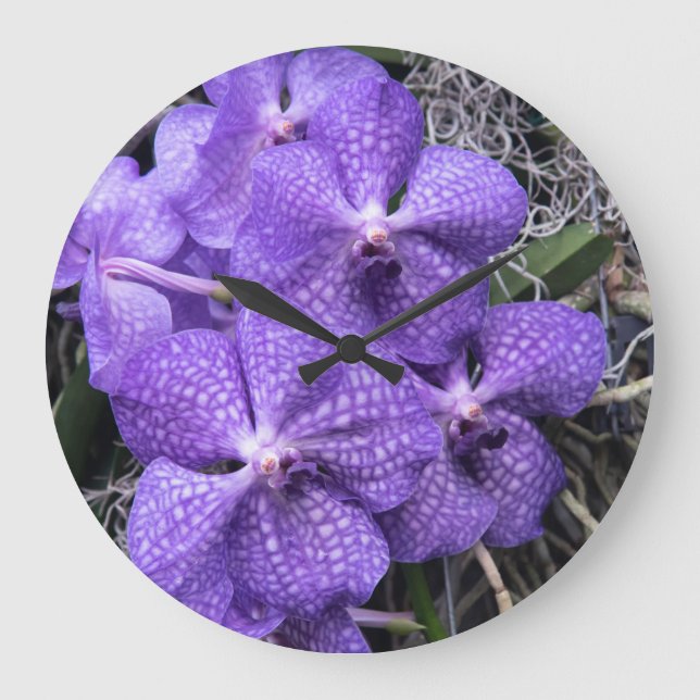 Reloj Redondo Grande orquídeas azules de Hawái (Anverso)