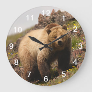 Reloj Redondo Grande oso