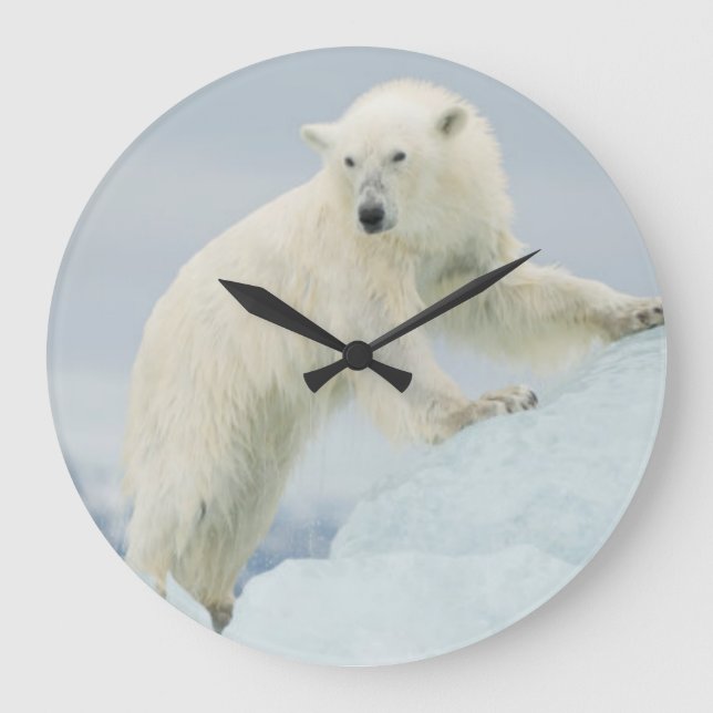 Reloj Redondo Grande Oso polar en verano (Anverso)