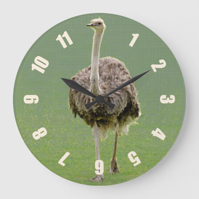 Reloj Redondo Grande Ostrich (Anverso)