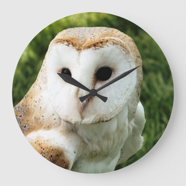 RELOJ REDONDO GRANDE OWLS (Anverso)