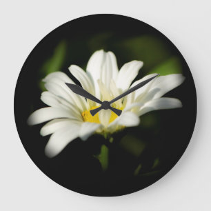 Reloj Redondo Grande Oxeye Daisy Round Clock
