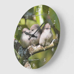Reloj Redondo Grande Pajaritos Bebés Cantorales de Arbusto Lindo en el
