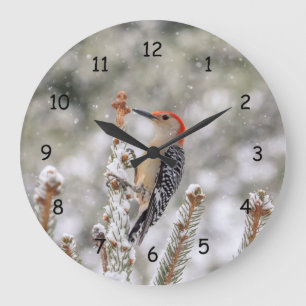 Reloj Redondo Grande Pájaro carpintero de barriga roja en la nieve