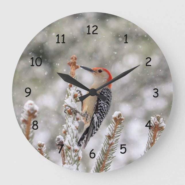Reloj Redondo Grande Pájaro carpintero de barriga roja en la nieve (Anverso)