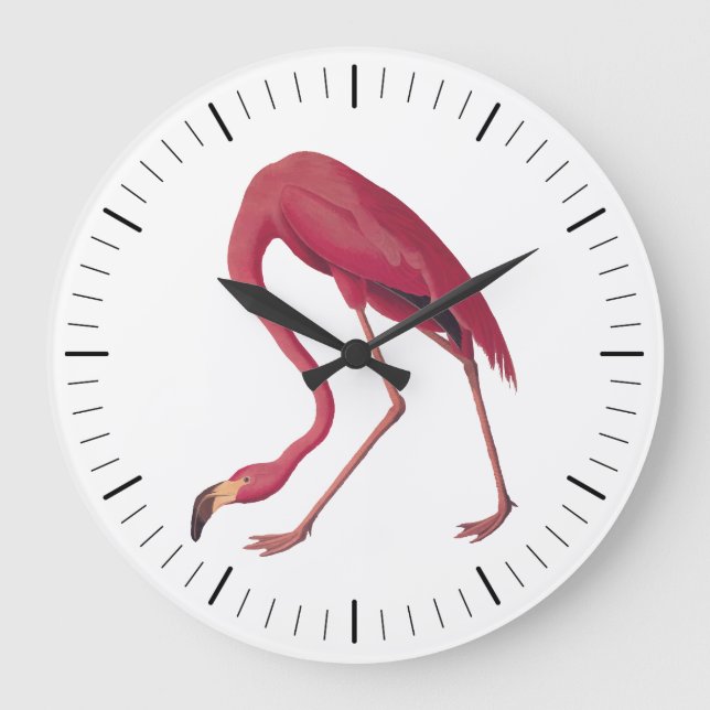 Reloj Redondo Grande Pájaro rosa americano Flamingo Audubon de Arte Vin (Anverso)