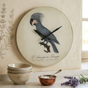 Reloj Redondo Grande Paloma negra de palma, Probosciger aterrimus