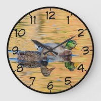 Pareja de Mallards
