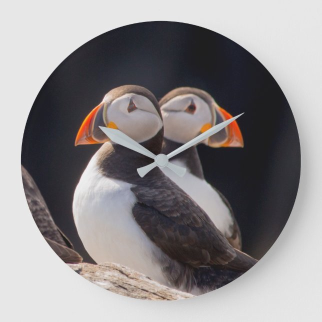 Reloj Redondo Grande Pareja de Puffins (Anverso)