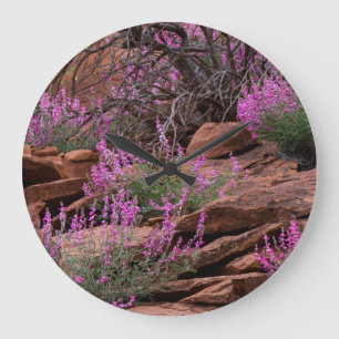 Reloj Redondo Grande Parque Nacional Capitol Reef, Utah, Estados Unidos