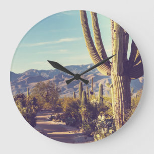 Reloj Redondo Grande Parque Nacional Saguaro, representación escénica.