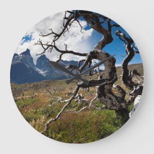 Reloj Redondo Grande Parque Nacional Torres del Paine, árboles dañados