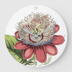 Reloj Redondo Grande Pasivo tropical rojo