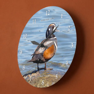 Reloj Redondo Grande Pato Arlequín Hermoso en las Orillas de la Playa